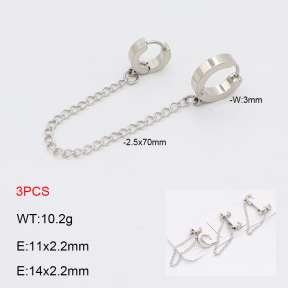 2E2006176bhia-233  Stainless Steel Earrings