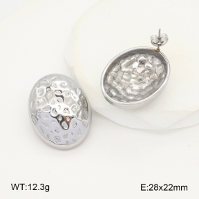 2E2006183baka-436  Stainless Steel Earrings