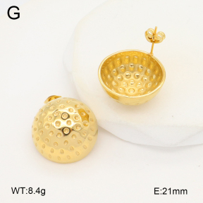 2E2006186ablb-436  Stainless Steel Earrings