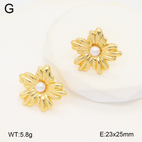 2E3003548aajl-319  Stainless Steel Earrings