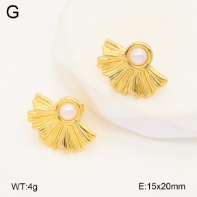 2E3003550aajl-319  Stainless Steel Earrings