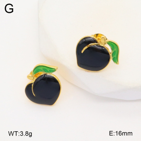 2E3003553aajl-319  Stainless Steel Earrings
