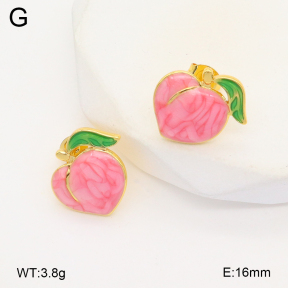 2E3003555aajl-319  Stainless Steel Earrings