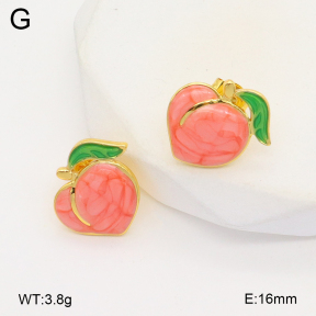 2E3003557aajl-319  Stainless Steel Earrings
