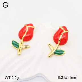 2E3003558aajl-319  Stainless Steel Earrings