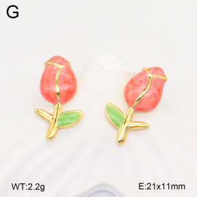 2E3003559aajl-319  Stainless Steel Earrings