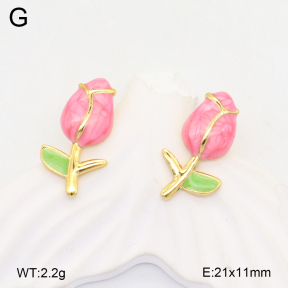 2E3003560aajl-319  Stainless Steel Earrings