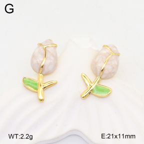 2E3003561aajl-319  Stainless Steel Earrings