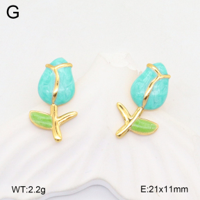 2E3003562aajl-319  Stainless Steel Earrings