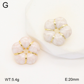 2E3003563aajl-319  Stainless Steel Earrings