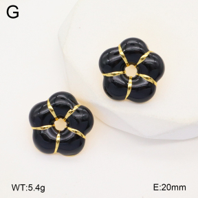 2E3003565aajl-319  Stainless Steel Earrings
