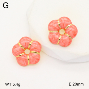 2E3003566aajl-319  Stainless Steel Earrings