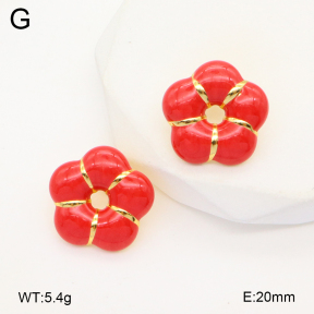 2E3003568aajl-319  Stainless Steel Earrings