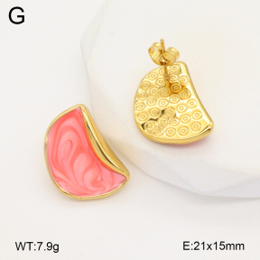2E3003569aakl-319  Stainless Steel Earrings