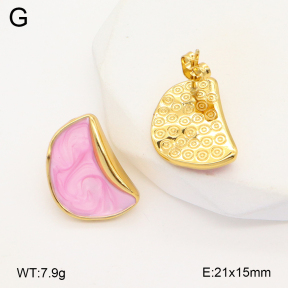 2E3003570aakl-319  Stainless Steel Earrings