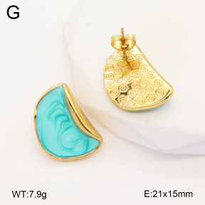 2E3003571aakl-319  Stainless Steel Earrings