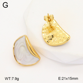 2E3003572aakl-319  Stainless Steel Earrings