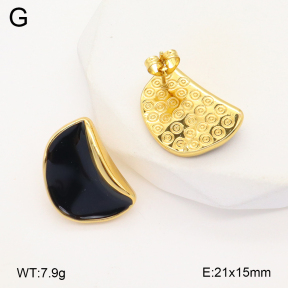 2E3003573aakl-319  Stainless Steel Earrings