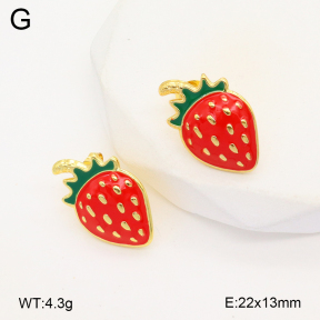 2E3003580aajl-319  Stainless Steel Earrings