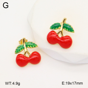 2E3003581aajl-319  Stainless Steel Earrings