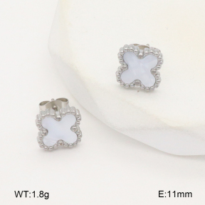 2E3003617vail-656  Stainless Steel Earrings