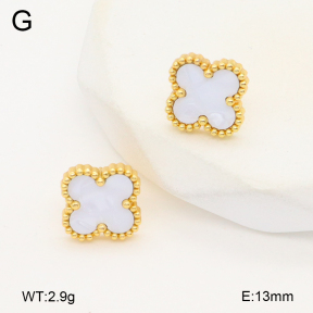 2E3003618vail-656  Stainless Steel Earrings