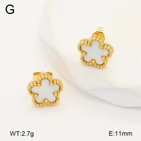 2E3003619vail-656  Stainless Steel Earrings
