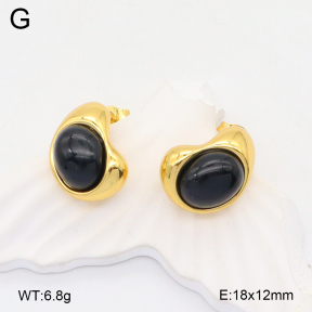 2E4004401vbmb-319  Stainless Steel Earrings