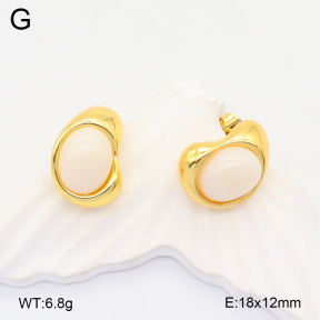 2E4004402vbmb-319  Stainless Steel Earrings