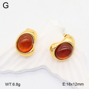 2E4004403vbmb-319  Stainless Steel Earrings
