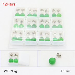 2E4004419akia-254  Stainless Steel Earrings