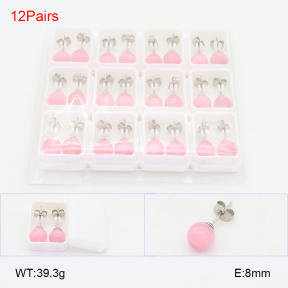 2E4004420akia-254  Stainless Steel Earrings