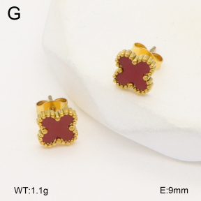 2E4004447vail-656  Stainless Steel Earrings
