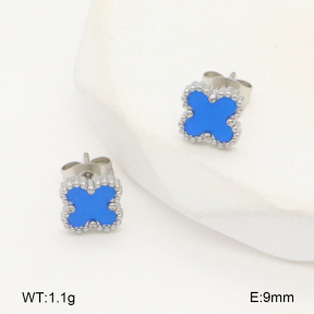 2E4004450vail-656  Stainless Steel Earrings