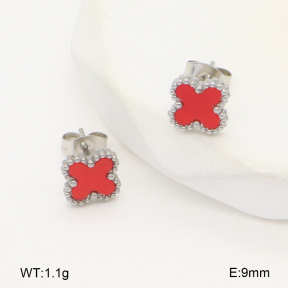 2E4004451vail-656  Stainless Steel Earrings