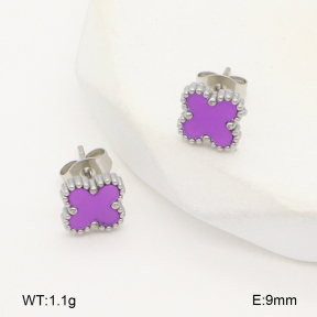 2E4004452vail-656  Stainless Steel Earrings