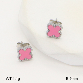 2E4004453vail-656  Stainless Steel Earrings