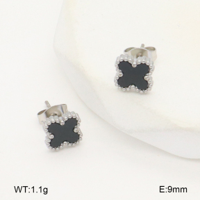 2E4004454vail-656  Stainless Steel Earrings