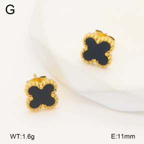 2E4004455vail-656  Stainless Steel Earrings