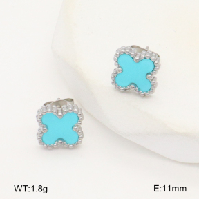 2E4004456vail-656  Stainless Steel Earrings