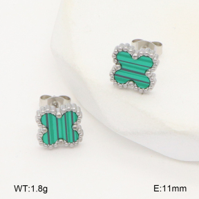 2E4004457vail-656  Stainless Steel Earrings