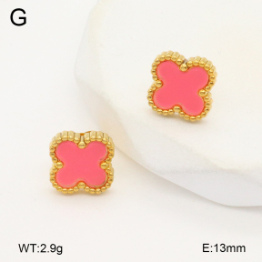 2E4004459vail-656  Stainless Steel Earrings