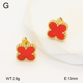 2E4004460vail-656  Stainless Steel Earrings