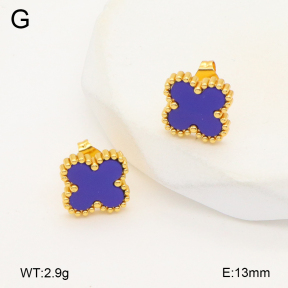 2E4004461vail-656  Stainless Steel Earrings