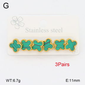2E4004470vbnb-656  Stainless Steel Earrings