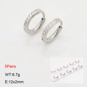 2E4004472bjja-233  Stainless Steel Earrings