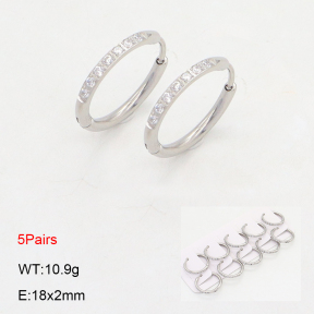 2E4004473ajoa-233  Stainless Steel Earrings