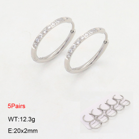 2E4004474ajoa-233  Stainless Steel Earrings