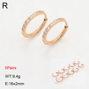 2E4004475ajpa-233  Stainless Steel Earrings