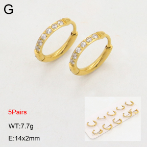 2E4004476ajma-233  Stainless Steel Earrings